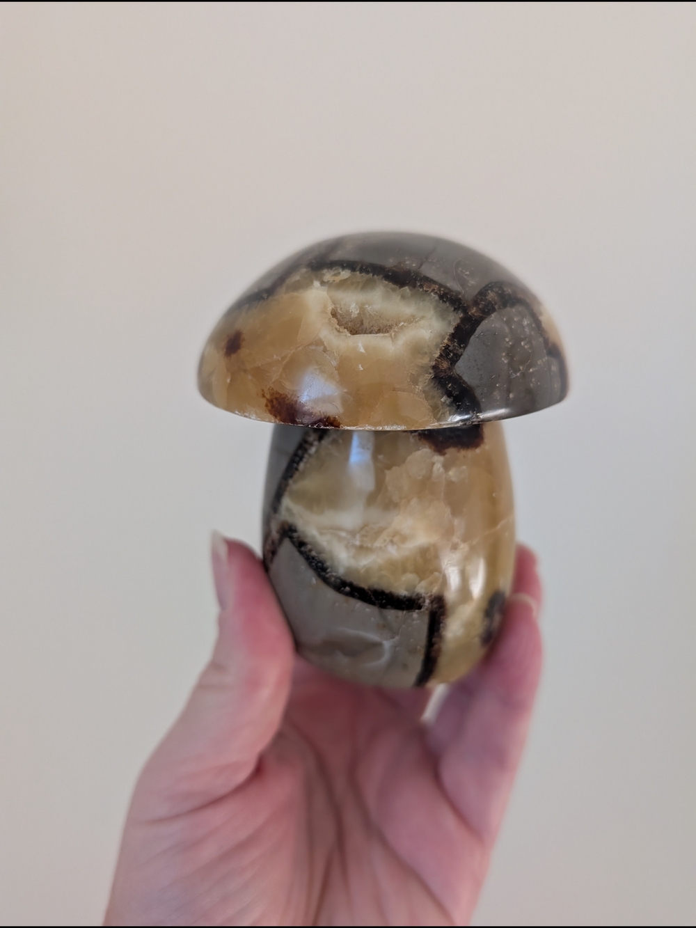 Natural Crystal Septarian Mushroom